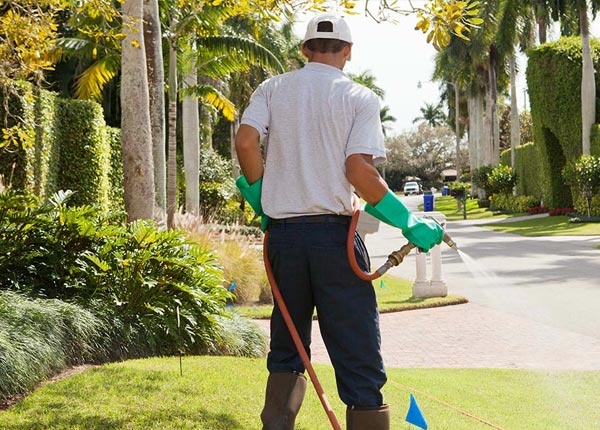 About Bridgewater NJ Pest Control Pros